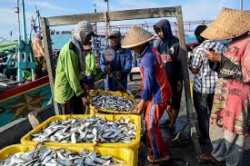 Potensi Perikanan dan Kelautan